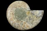 Bargain, Agatized Ammonite Fossil (Half) - Madagascar #111519-1